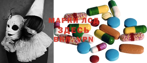 ГАЛЛЮЦИНОГЕННЫЕ ГРИБЫ Аркадак