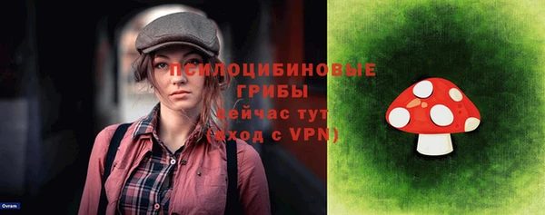 ГАЛЛЮЦИНОГЕННЫЕ ГРИБЫ Аркадак
