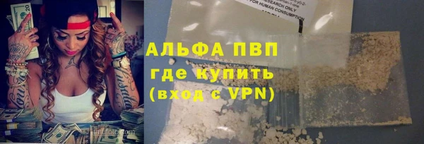 ГАЛЛЮЦИНОГЕННЫЕ ГРИБЫ Аркадак