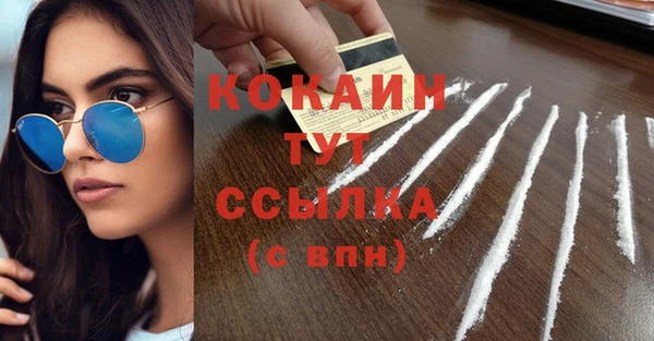 ГАЛЛЮЦИНОГЕННЫЕ ГРИБЫ Аркадак
