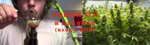 крисы Арсеньев