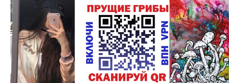 где продают   Кинель  Галлюциногенные грибы GOLDEN TEACHER 