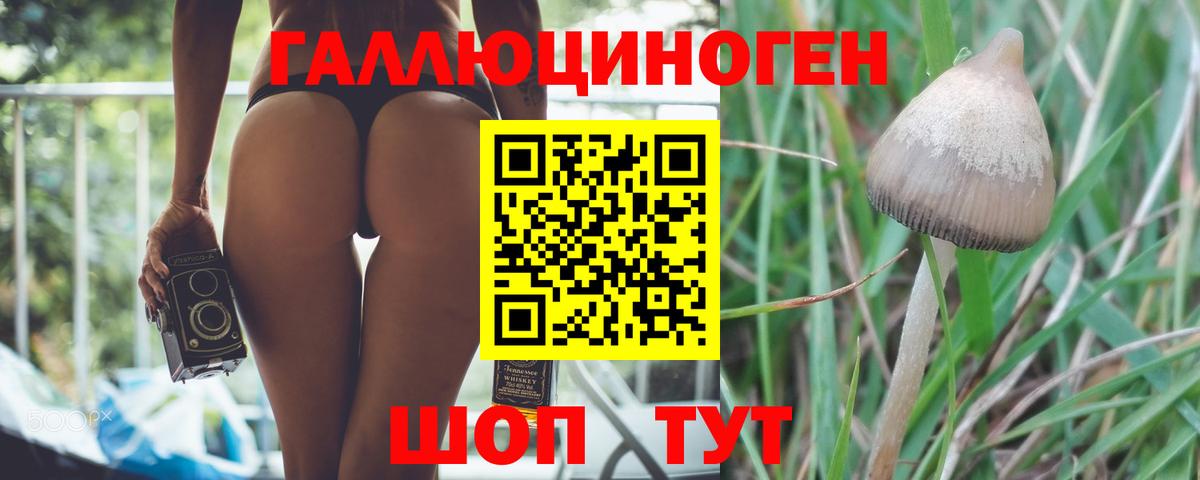 сколько стоит  Псилоцибиновые грибы Psilocybine cubensis  Вход с VPN  Галлюциногенные грибы ЛСД  Кинель 